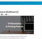 Sebelum Update Wordpress 5.0