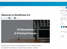 Sebelum Update Wordpress 5.0