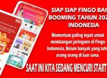 Fingo Belum Launching di Indonesia Saya Sudah Gabung