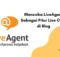 Mencoba LiveAgent Sebagai Fitur Live Chat di Blog