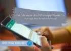 Fitur Whatsapp Bisnis Menarik Untuk Dimanfaatkan
