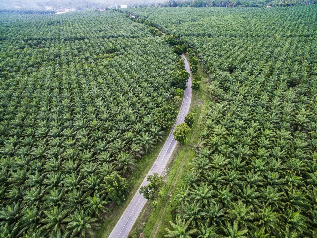Komoditas Utama Indonesia